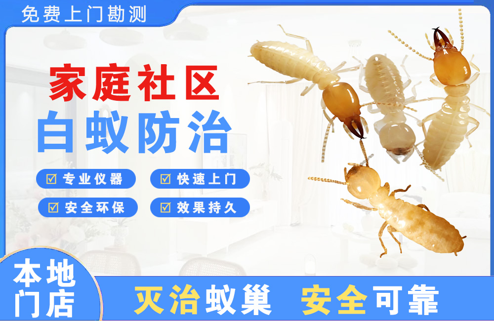 合川家庭社区白蚁防治