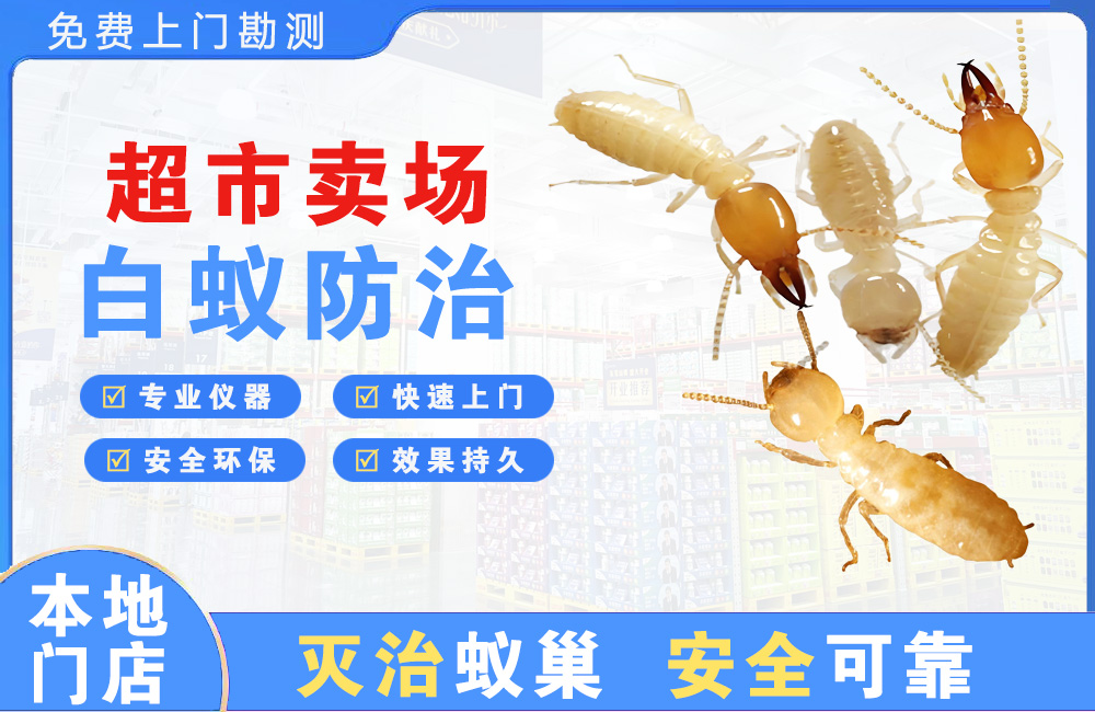合川超市卖场白蚁防治