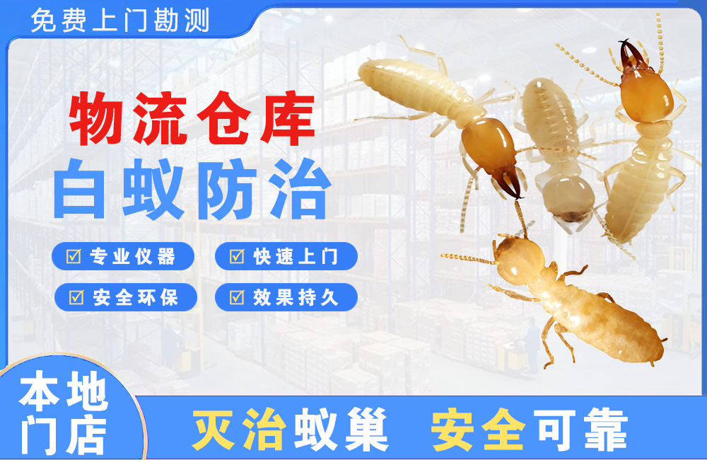 合川物流仓库白蚁防治