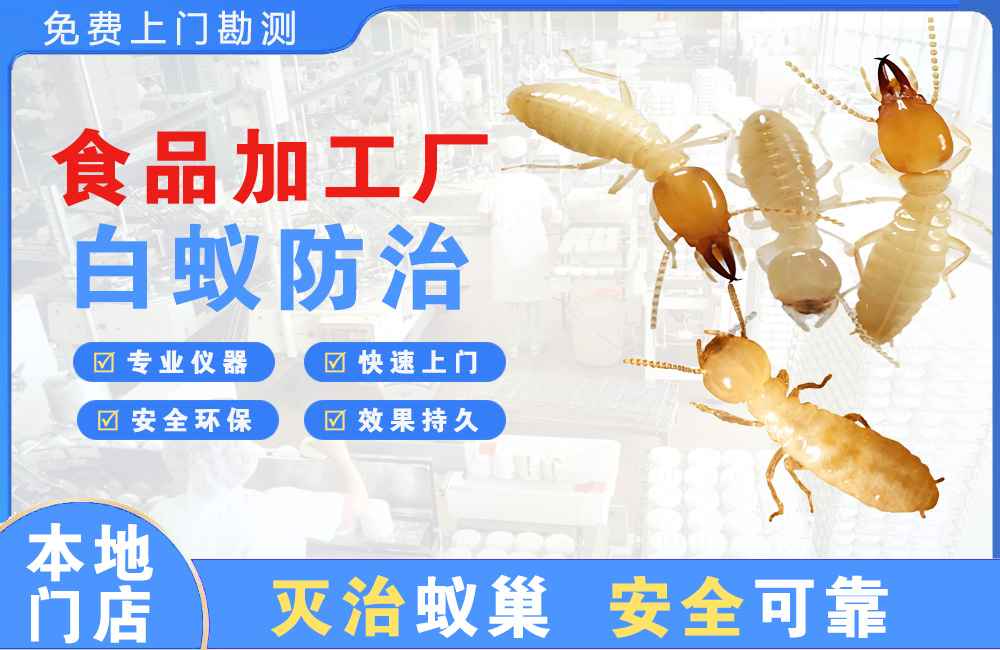 合川食品加工厂白蚁防治