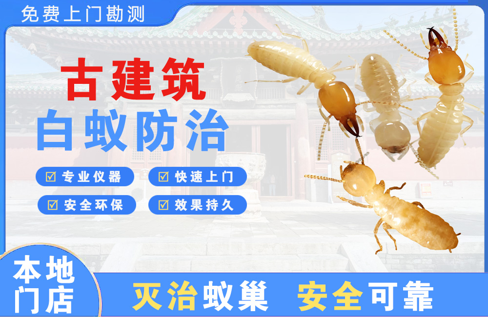 合川古建筑白蚁防治