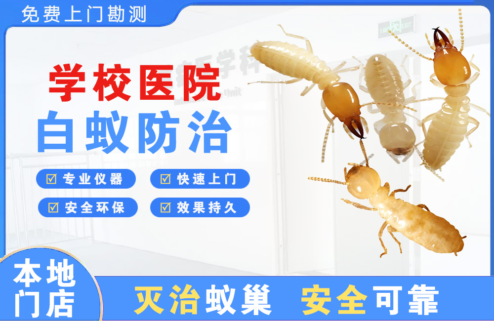 合川学校医院白蚁防治